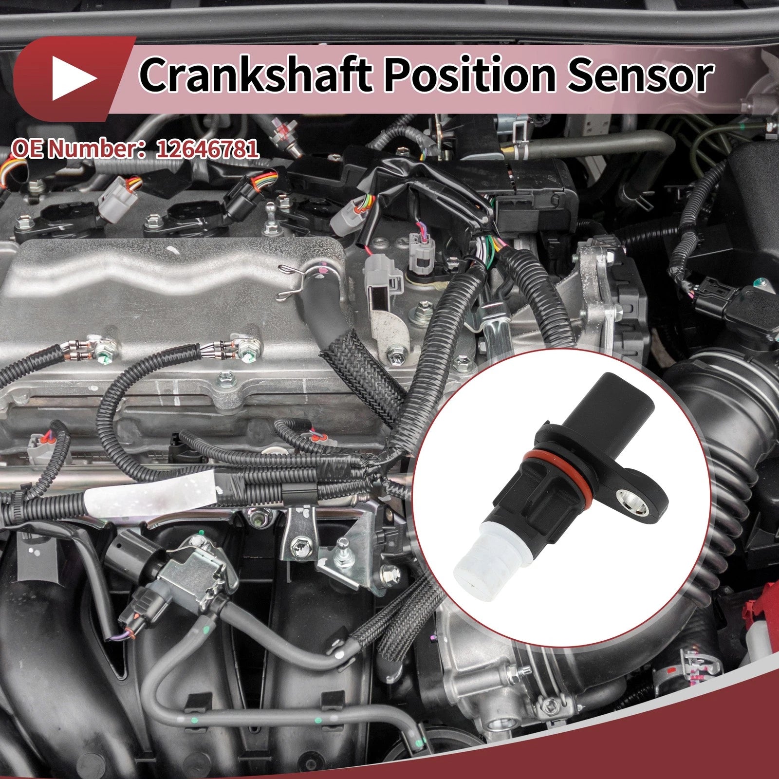 Crankshaft Position Sensor Replacement for Chevrolet Colorado 3.6 (2017-2022)