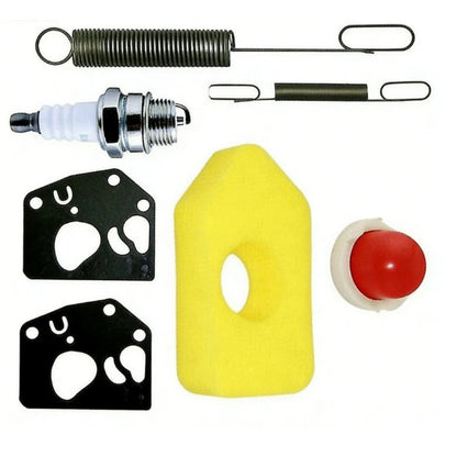 Carburetor Kit for Lawn Mower (795477, 698369, 795469)