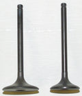 Engine Valve Kit for Honda TRX 400 FW (1995–2003) 017-024