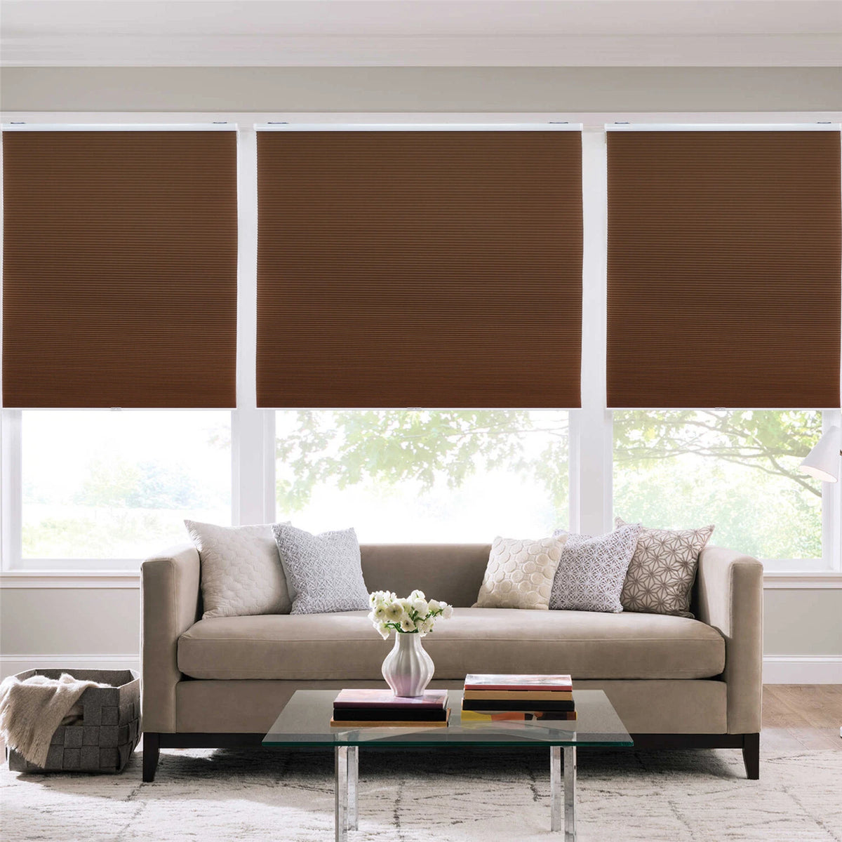 Cordless Cellular Shades for Window (71" W x 72" H)