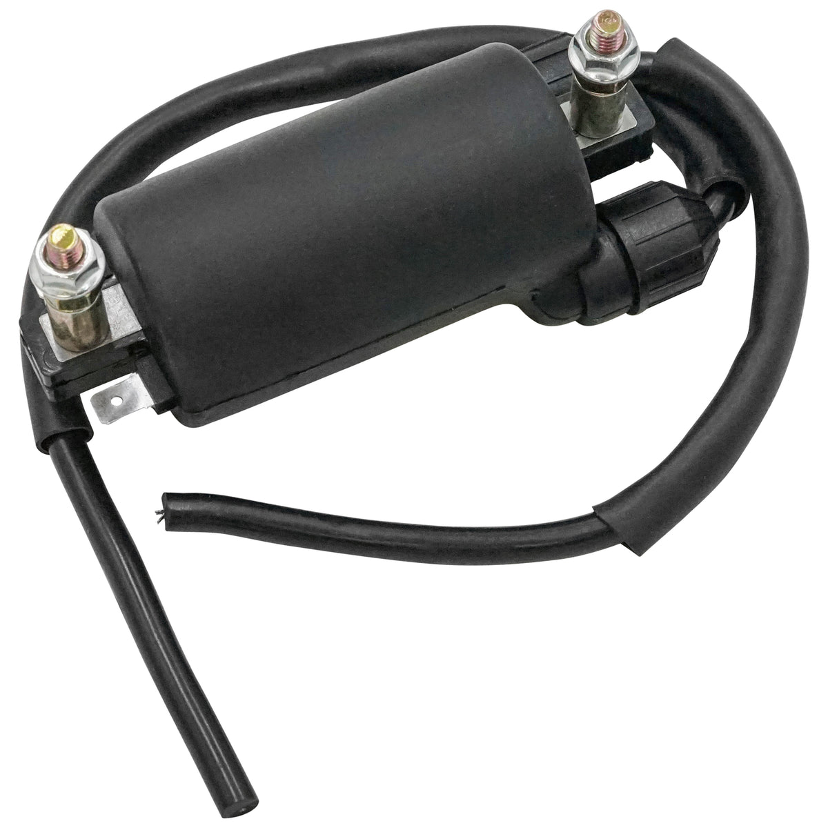 Ignition Coil Replacement for Kawasaki KZ1000 Police (2001–2005)