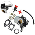 Carburetor Kit with Air Filter for 11000/12Q000 (Models)