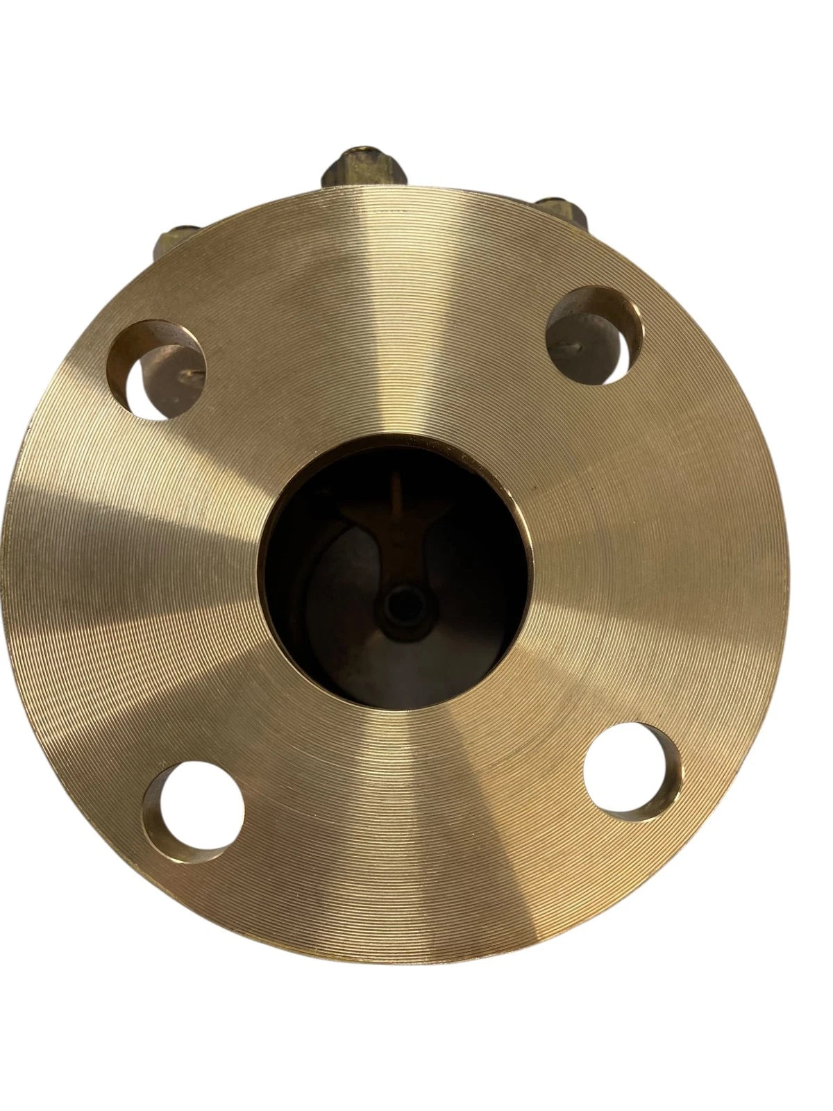2" Milwaukee Swing Check Valve for ANSI B16.24 (150-WSP, 1291N-200)