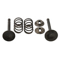 Spring Retainer Kit for 5 5 6 5HP Engines