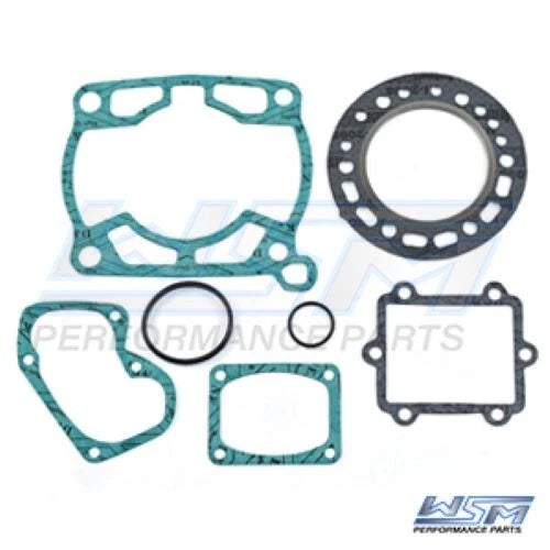 Gasket Kit for WSM