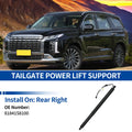 Rear RH Tailgate Power Lift Support Replacement for Hyundai Palisade (2020–2024)