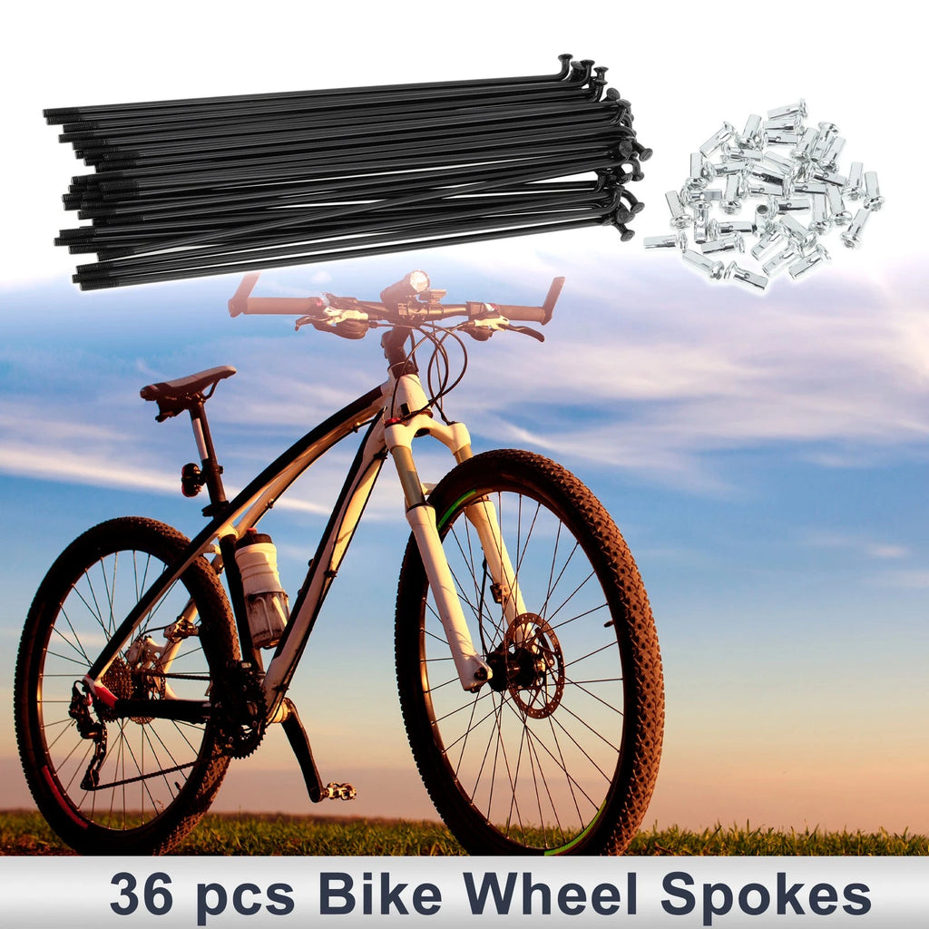 Bicycle Spokes Nipple Set 12G 163mm Carbon Steel for Universal (All Makes)