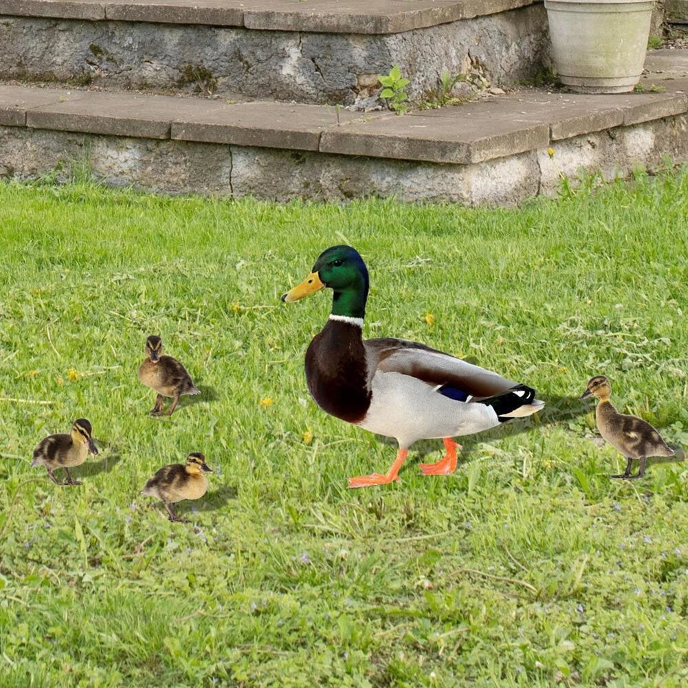 Acrylic Duck Decoration for Festive Garden