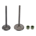 Engine Head Intake Exhaust Valves Seals for Honda CG250cc