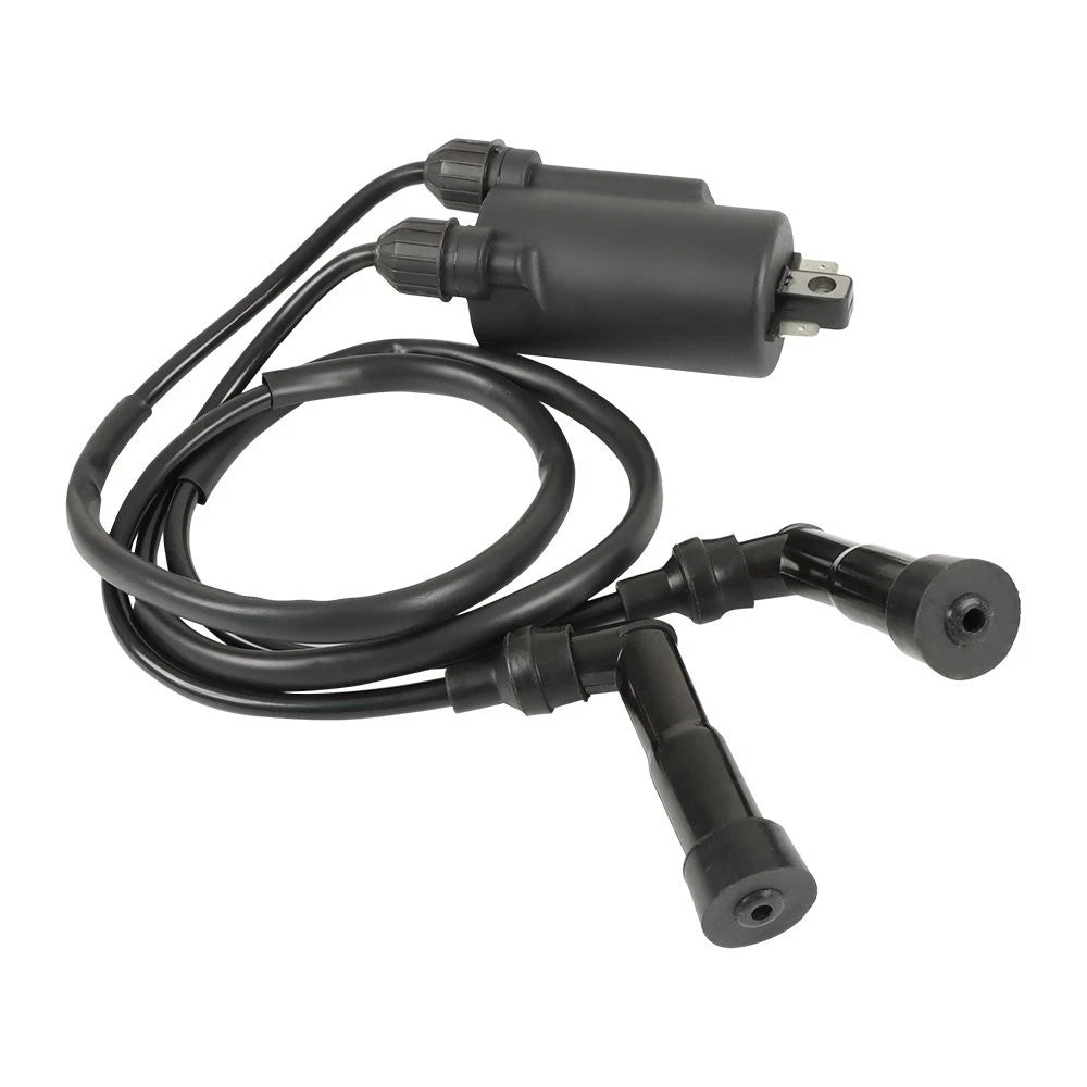 Ignition Coil Pack & Spark Plug Cap for Honda Goldwing GL1200 (1984–1987)