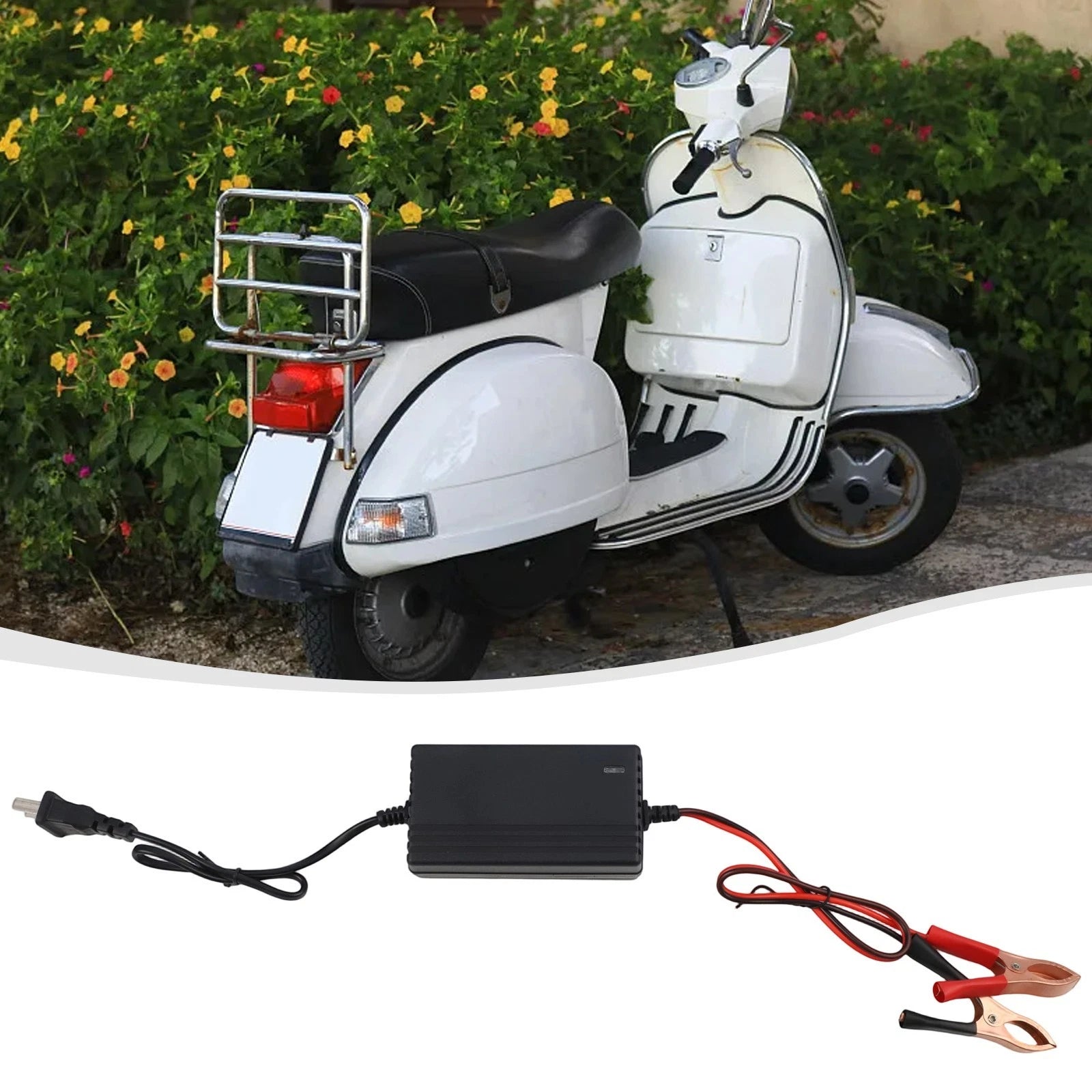 12V Lead Acid Battery Charger for (Compatible)