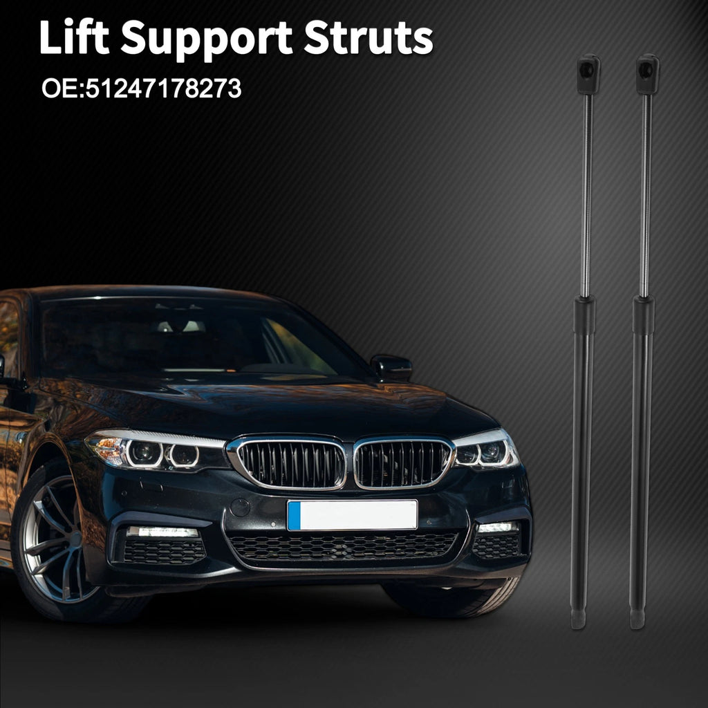 Tailgate Lift Supports Struts Replacement for BMW 5 Series E61 (2004–2010)