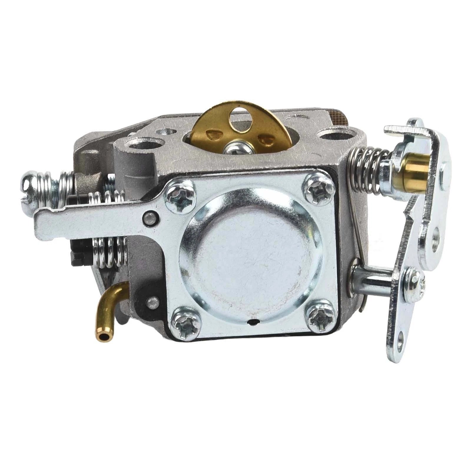 Complete Carburetor Maintenance Kit for W20 WT891
