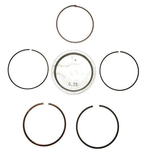 Piston Kit O/S 0 for Suzuki Johnson/Evinrude DF40-DF50