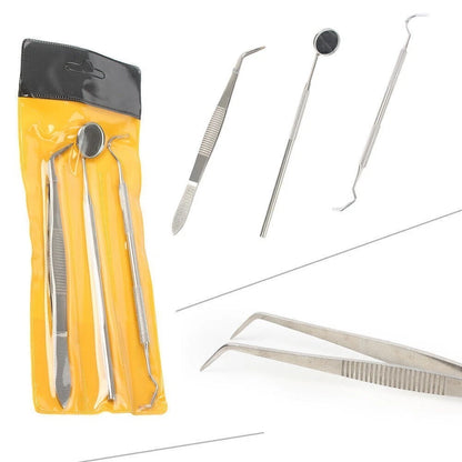 Set of 10 Dental Instruments for College Use