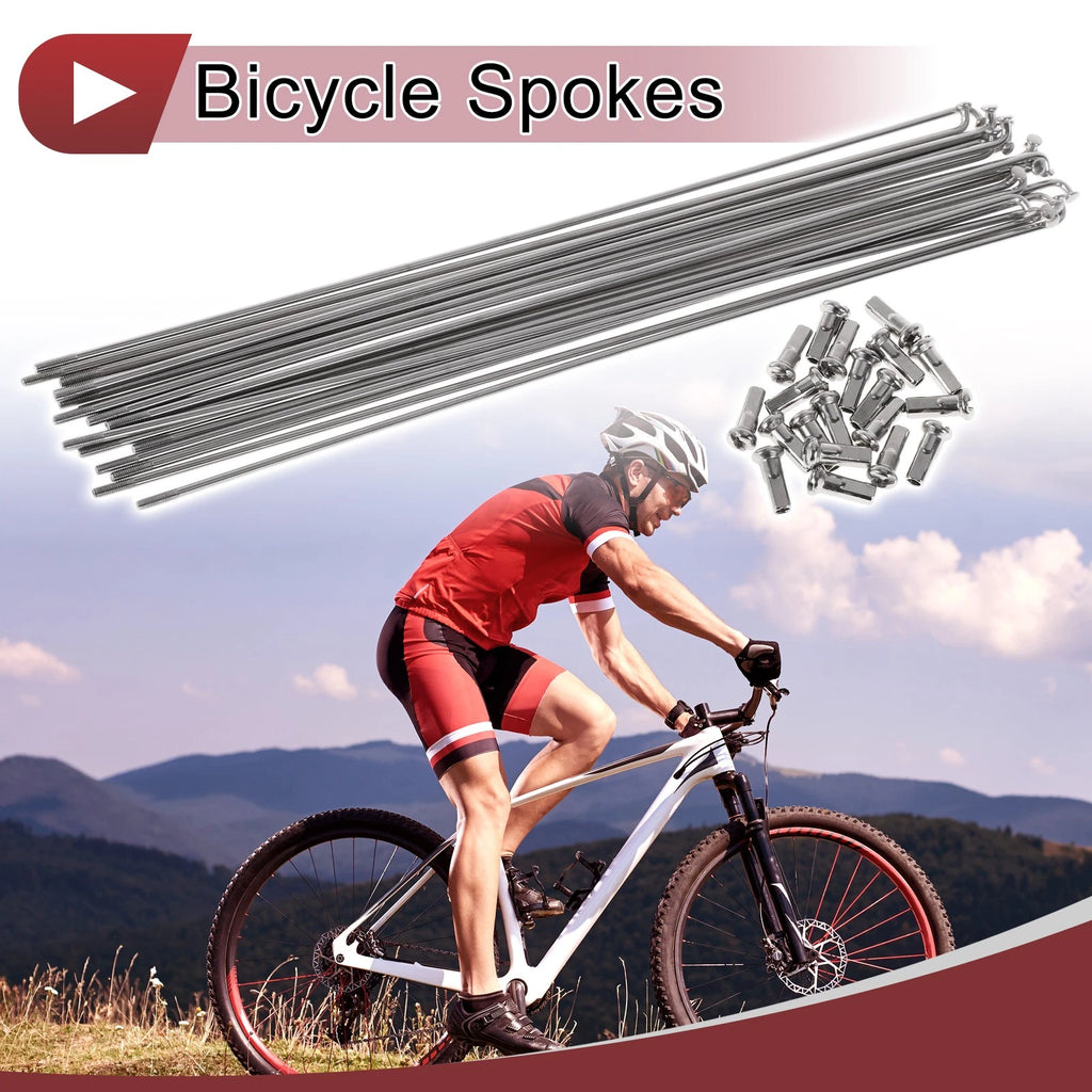 Bicycle Spokes 245mm Stainless Steel Replacement for 20 Inch Wheel (304)