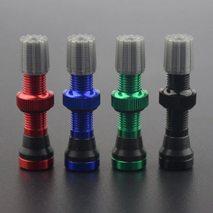 Tubeless Valve for Schrader Valve (2010–2023)