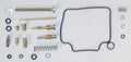 Carburetor Kit for Honda 350 TRX (2000–2003) 016-039