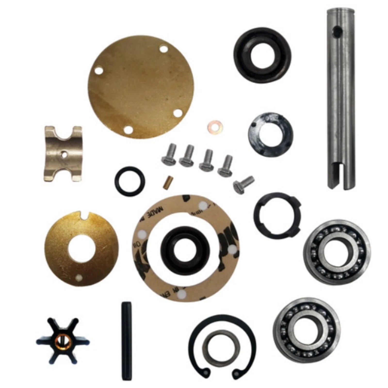 Major Internal Repair Kit 875756 for Johnson Pumps (10-24178-2, 10-24707-01)