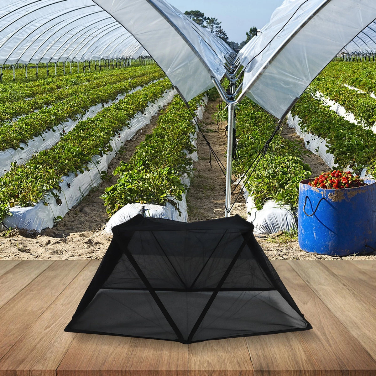 Foldable Plant Shade for Easy Installation and Insect Barrier