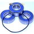 Rear Wheel Ball Bearings Replacement for Suzuki VL1500 (1998–2004)