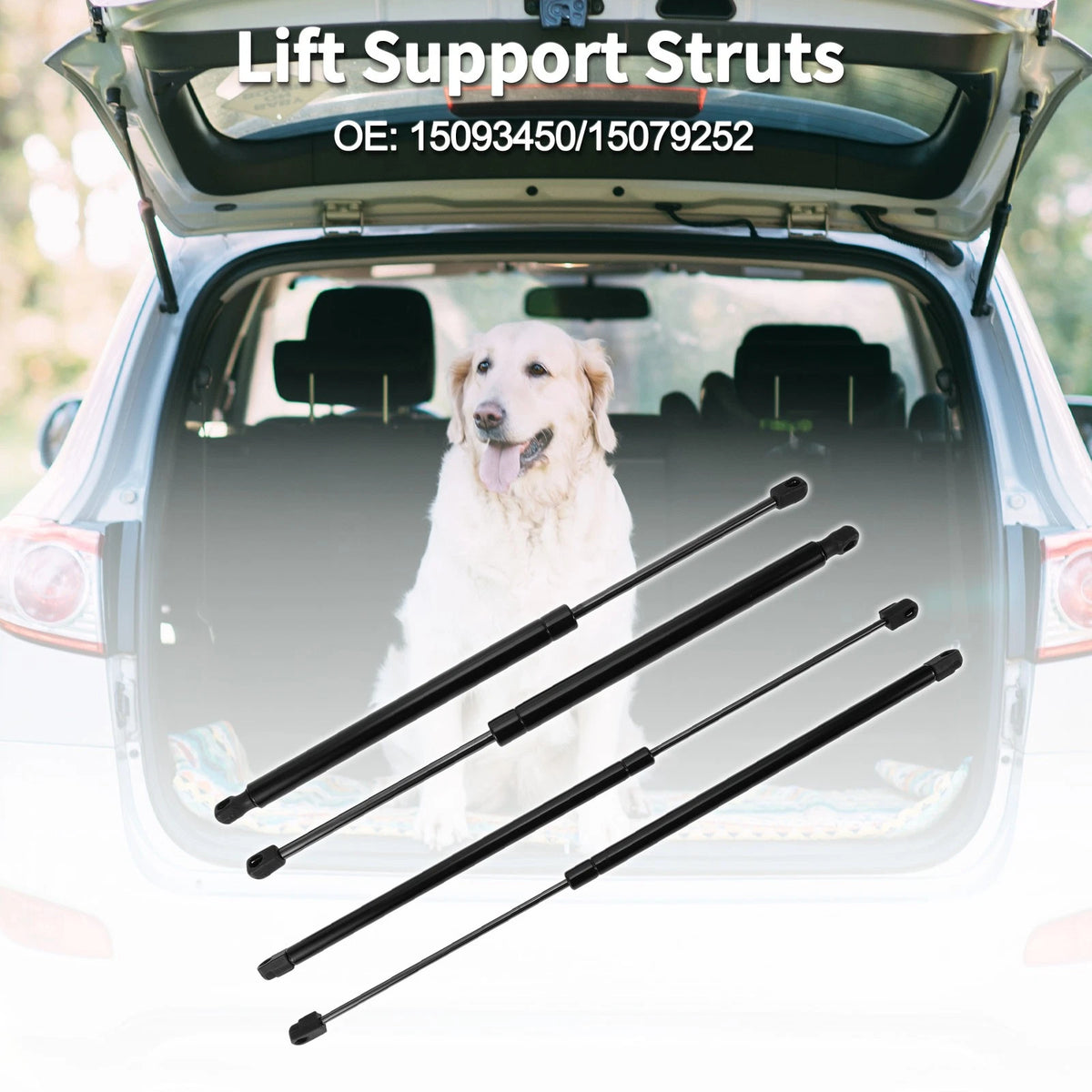 Rear Window Glass Lift Supports Struts for Buick Rainier (2004–2007)