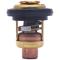 Thermostat for Yamaha 4 Stroke F 6 8 9.9 15 HP Outboard Motors (1999–2023) 66M-12411-01