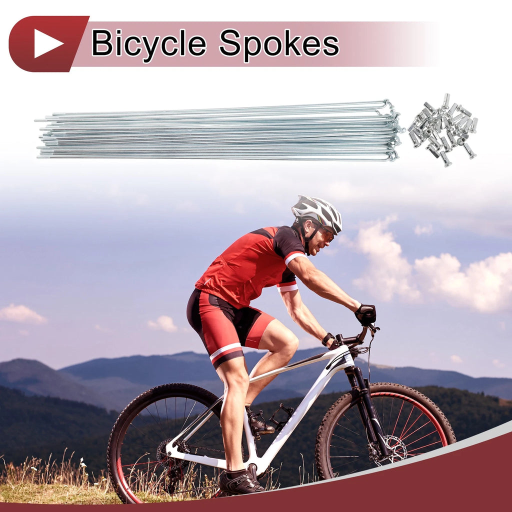 Bicycle Wheel Spoke Replacement Carbon Steel Galvanized 295 mm for 12G