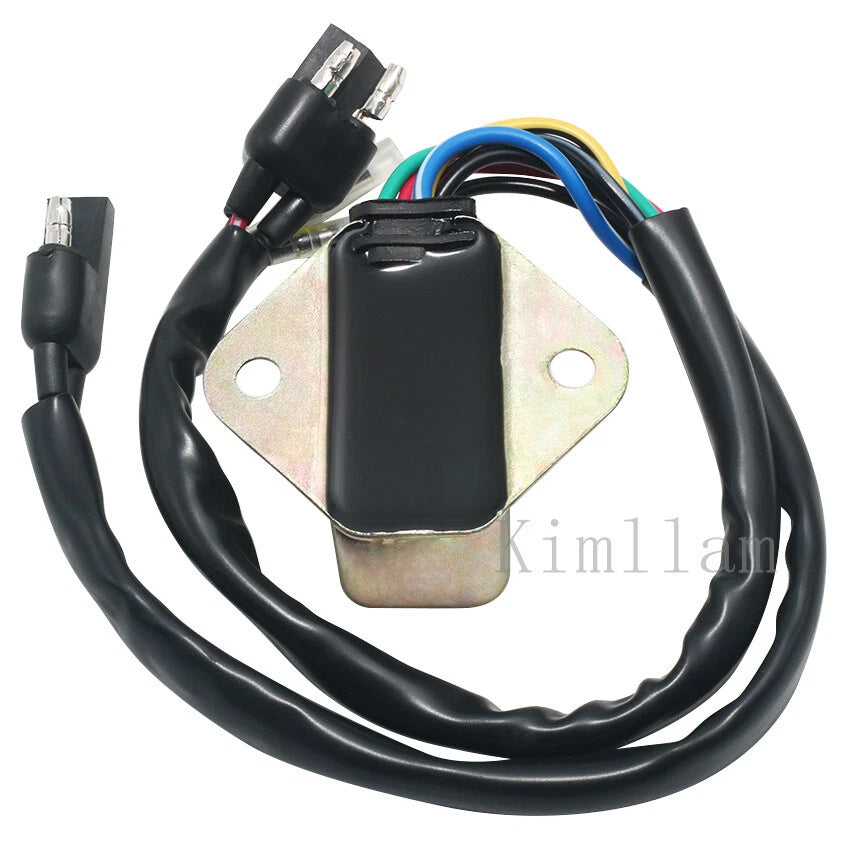 CDI Igniter for Suzuki TS125ER GP100 GP125 TR100 FR80 TL125 (1979–1982)