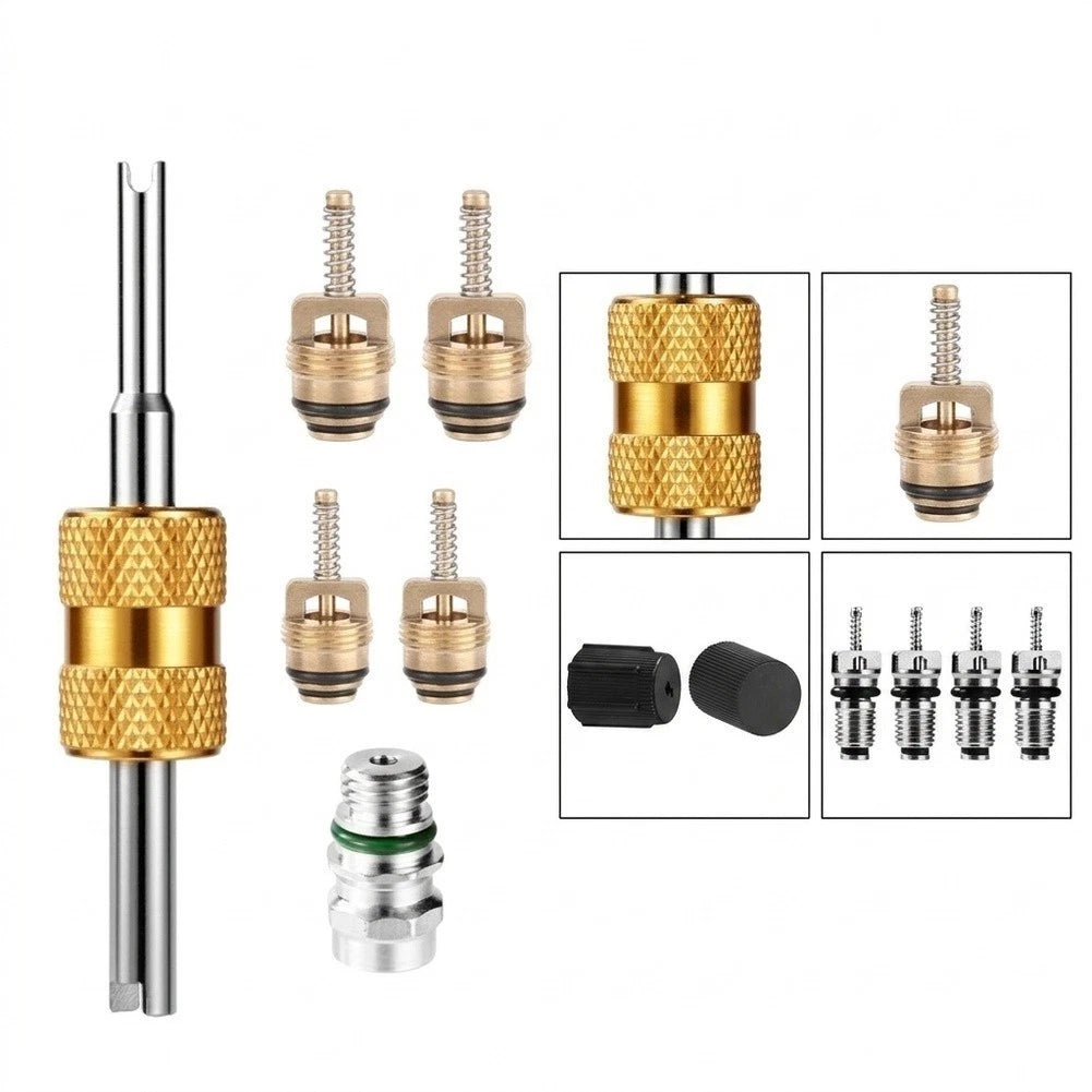 16 Piece AC Valve Insert Kit for HVAC Repair