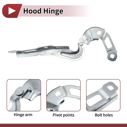 Hood Hinge for Ford Focus (2019–2023) Right Side, 1 pcs