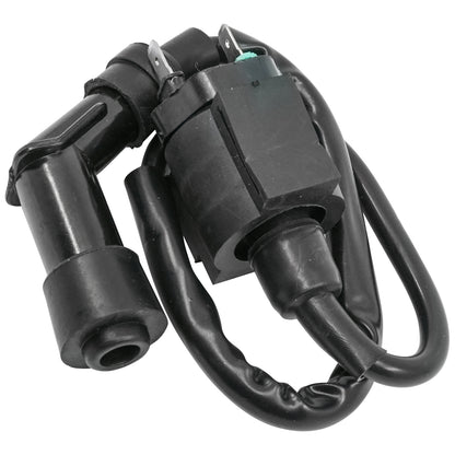 Ignition Coil Replacement for Honda TRX350TE TRX350TM (2000–2006)