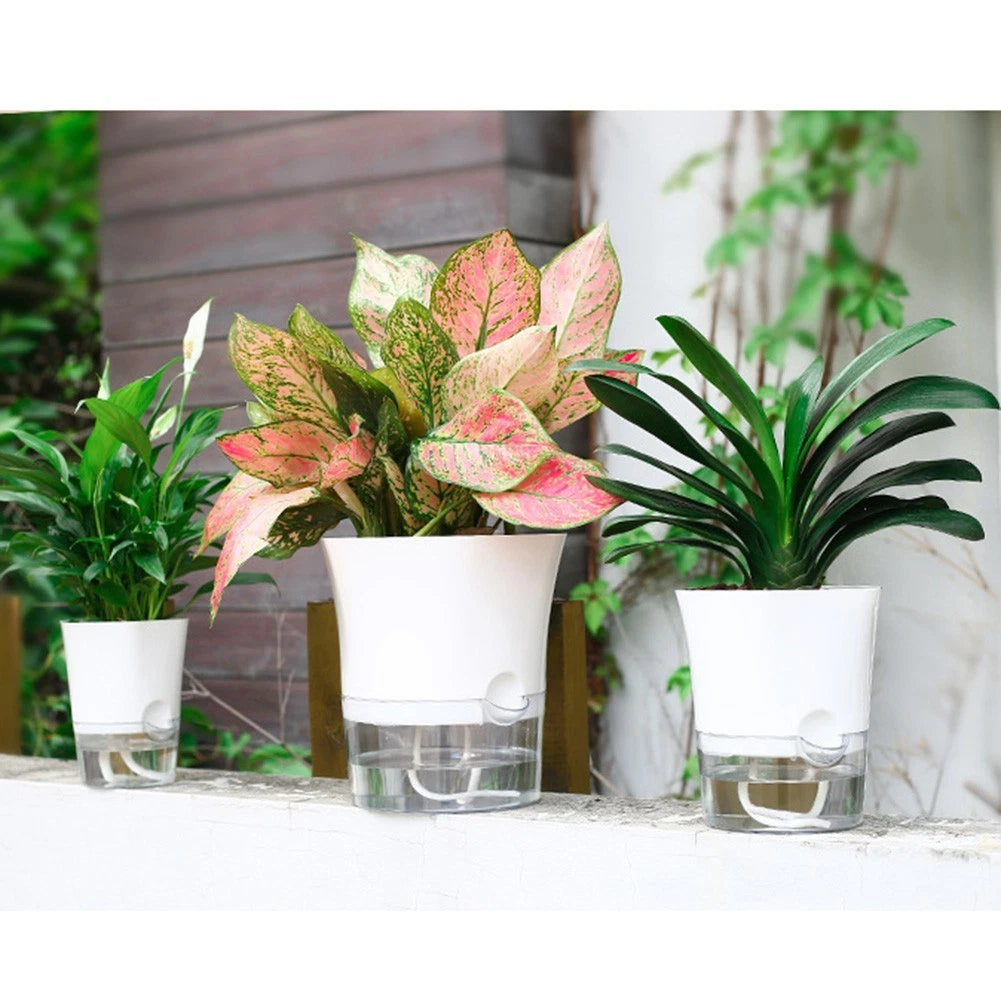 Self-Watering Wall Hanging Plant Pot for Home Garden