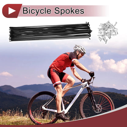 Bicycle Wheel Spokes 14G Carbon Steel 241 mm Set for Bike (All Years)