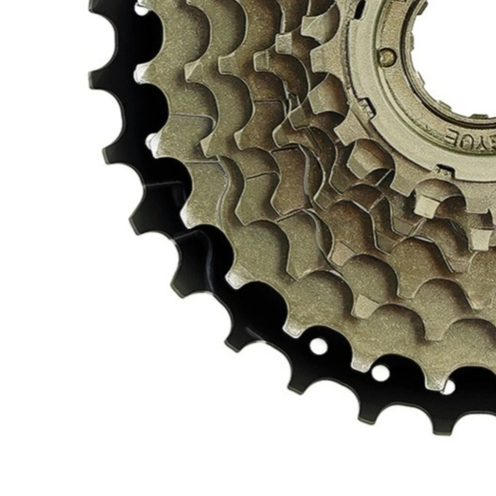 8-Speed Freewheel for 8-Speed Bikes (Compatible with 8-Speed Systems)