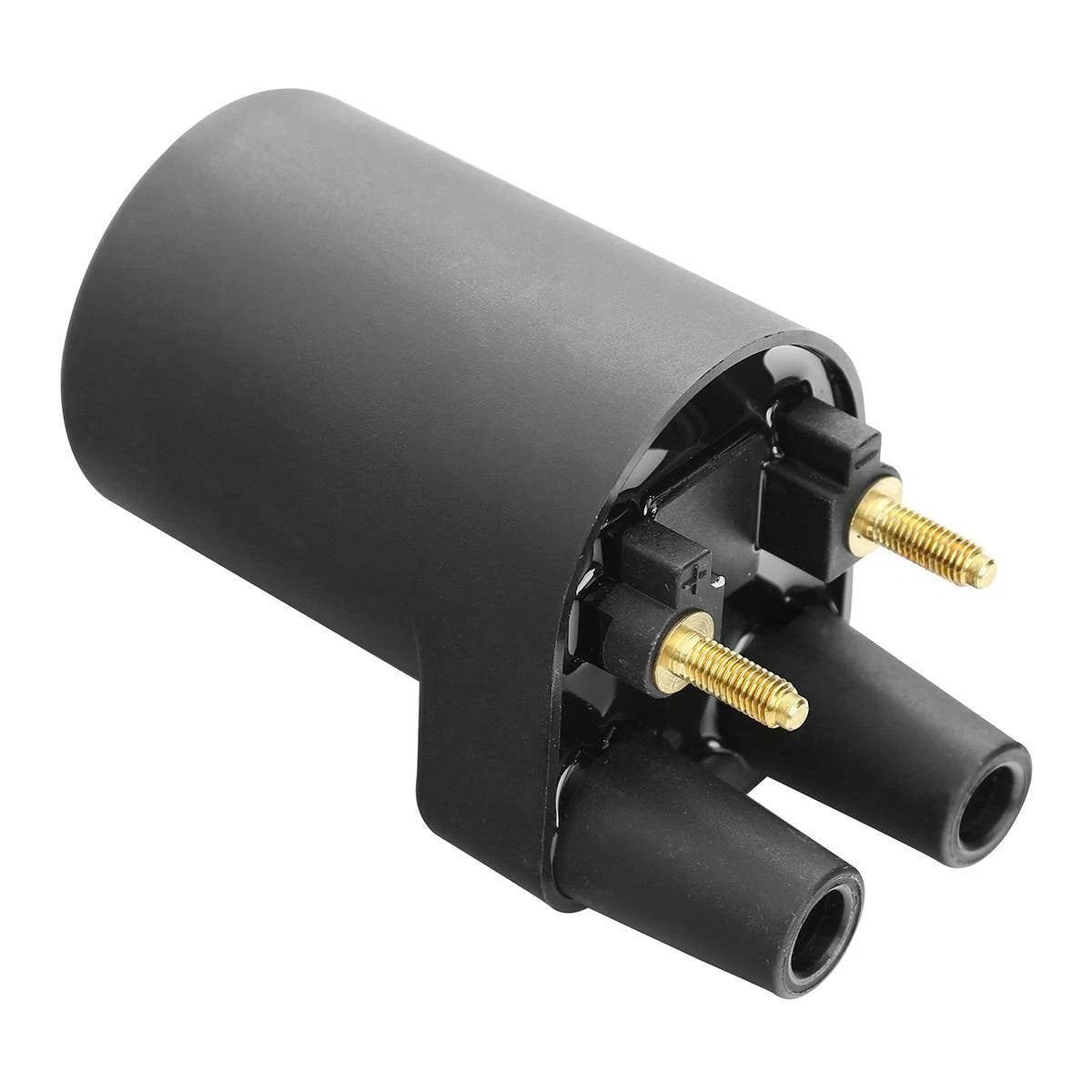 Ignition Coil for Points Models P218G P220G (Replacement 166-0804)