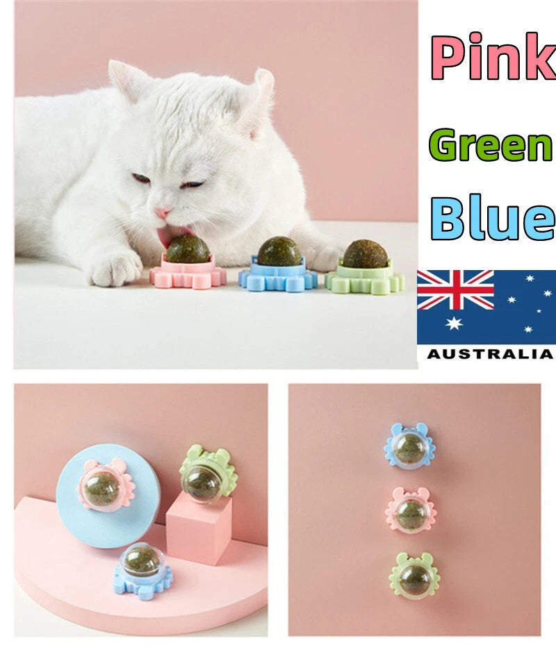 Catnip Ball Toy for Cats (Natural)
