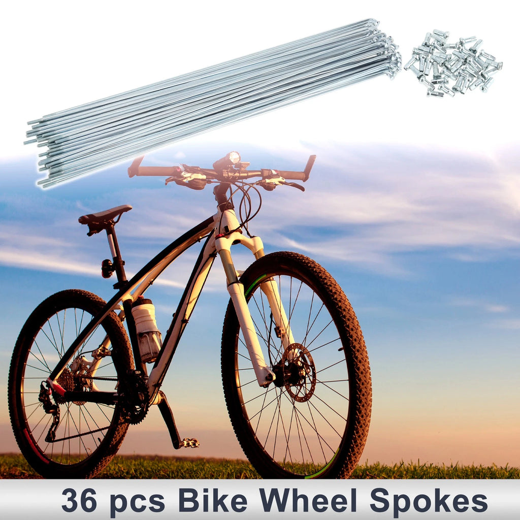 Bicycle Spokes Nipple Replacement for 12G 301mm Length (Carbon Steel)