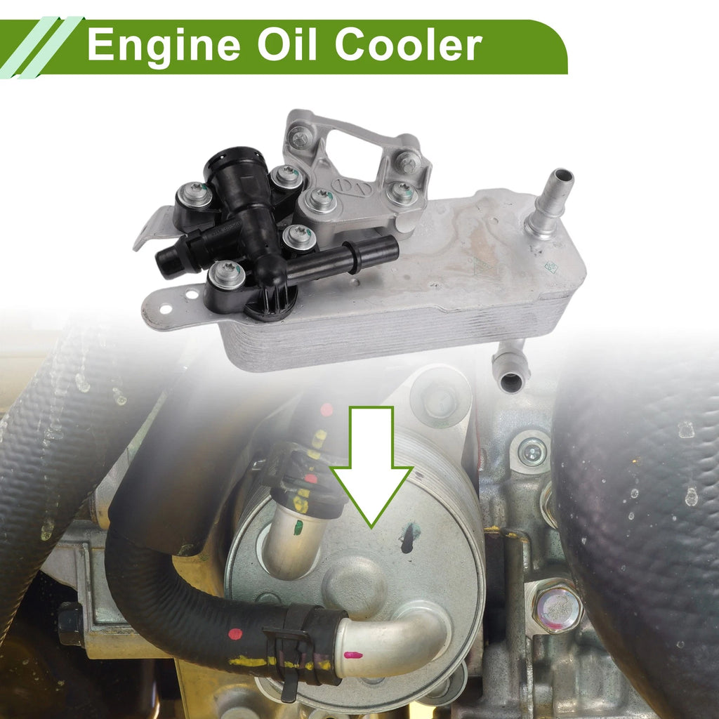 Engine Oil Cooler Replacement for BMW 230i 2.0L (2017–2021)
