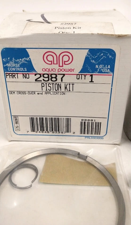 Piston Kit for Aqua Power 2987 (OEM)