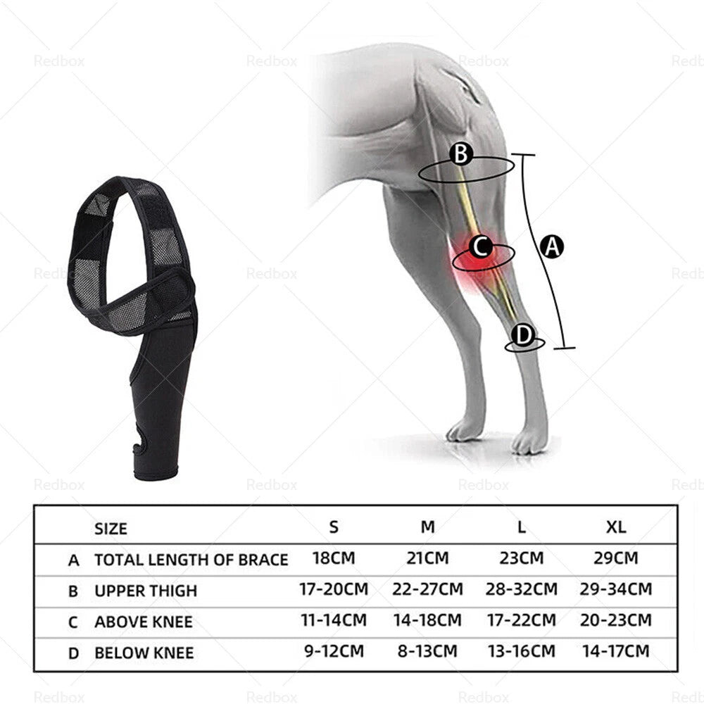 Pet Dog Knee Support Brace for Rear Leg (S/M/L/XL)