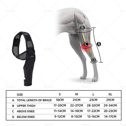 Pet Dog Knee Support Brace for Rear Leg (S/M/L/XL)