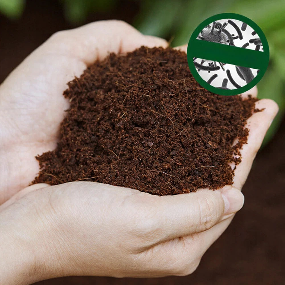 Coconut Coir Brick Potting Medium for Healthy Root Development (10x10x4cm)