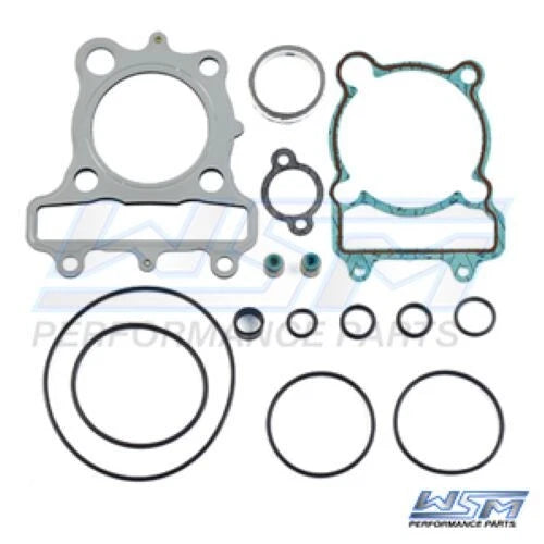 Gasket Kit for WSM
