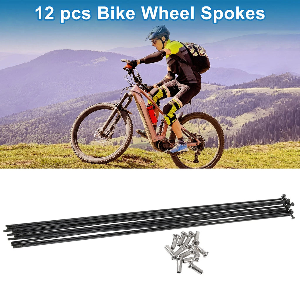 Bicycle Spokes Nipple 304 Stainless Steel Black for Universal 14G (287mm)