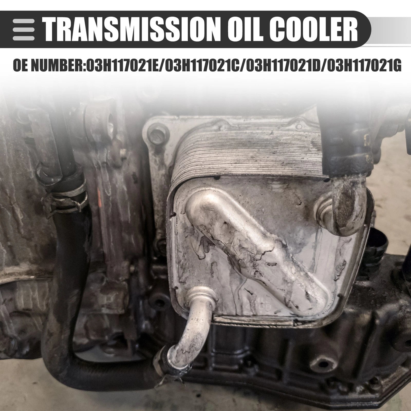 Car Engine Oil Cooler Assembly for Volkswagen Passat (2012–2018)