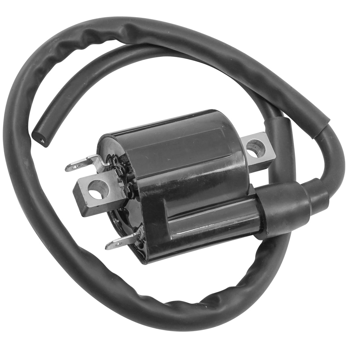 Ignition Coil Replacement for Suzuki Jimny SN413 (2005–2018)