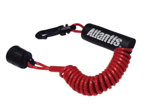 Lanyard for