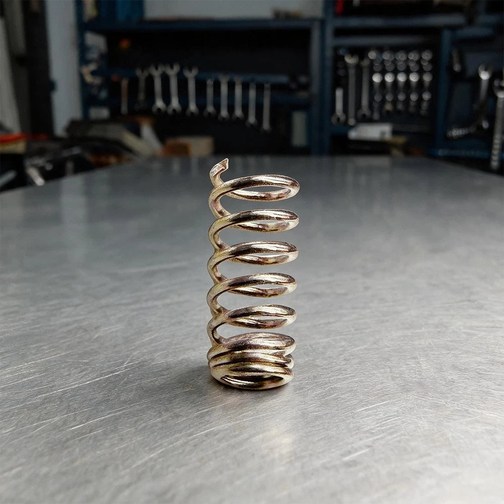Fishing Reel Spring for Larissa Reel (Stainless Steel)