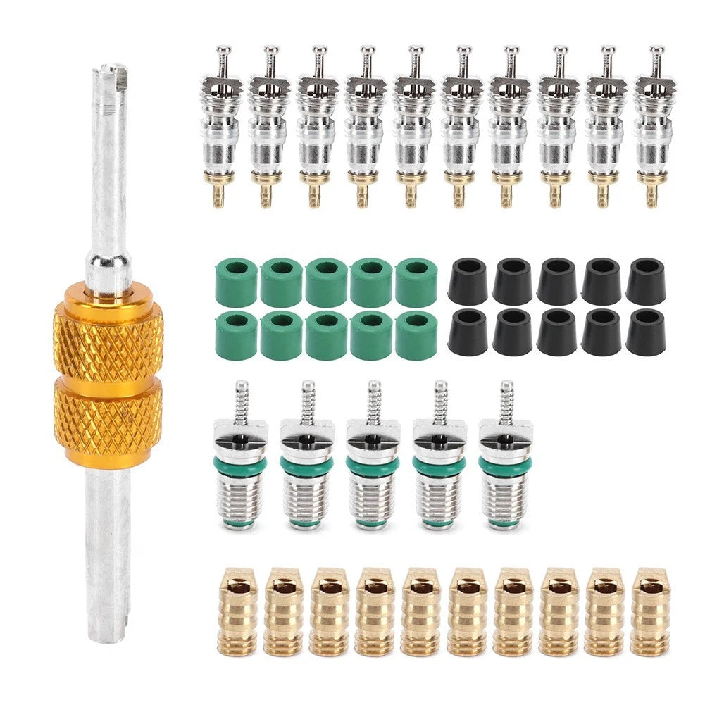 46Pcs Valve Core Kit for Air Conditioning Repair (Universal)